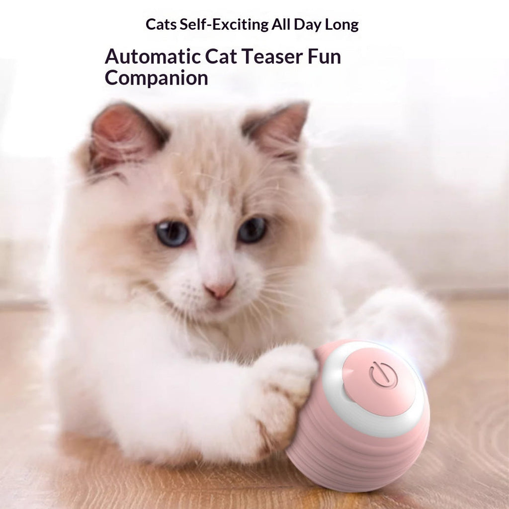 Automatic Self-Play Cat Toy Ball