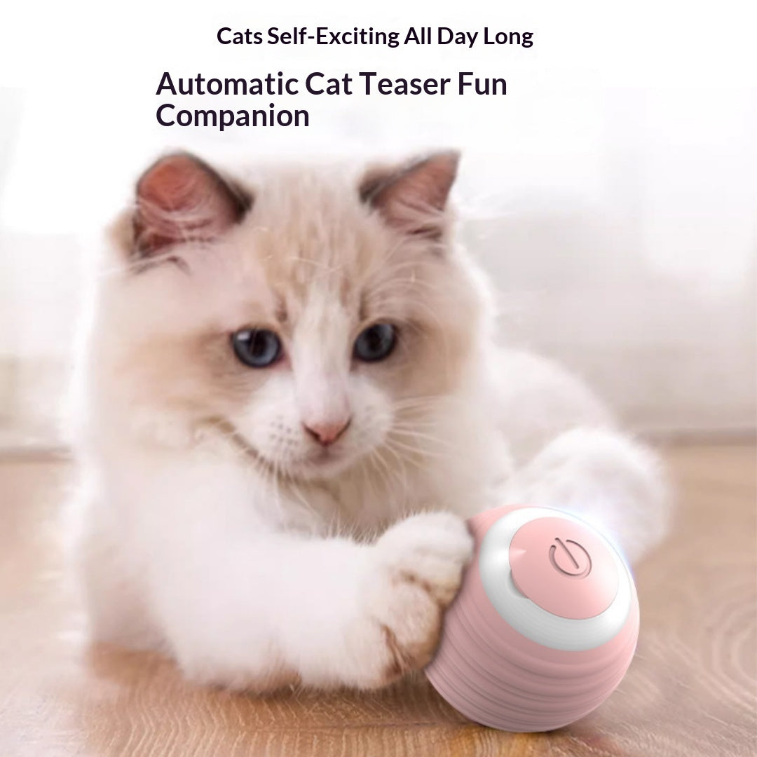 Automatic Self-Play Cat Toy Ball