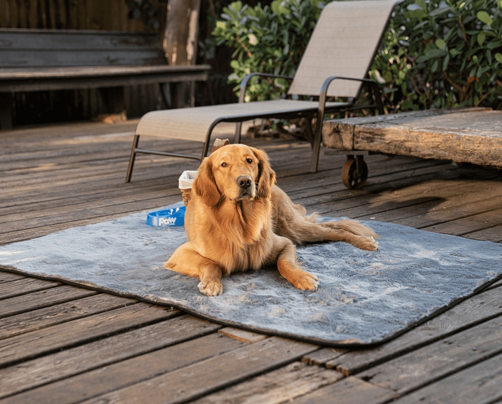 PupProtector™ Summer Short Fur Waterproof Throw Blanket - Charcoal Grey