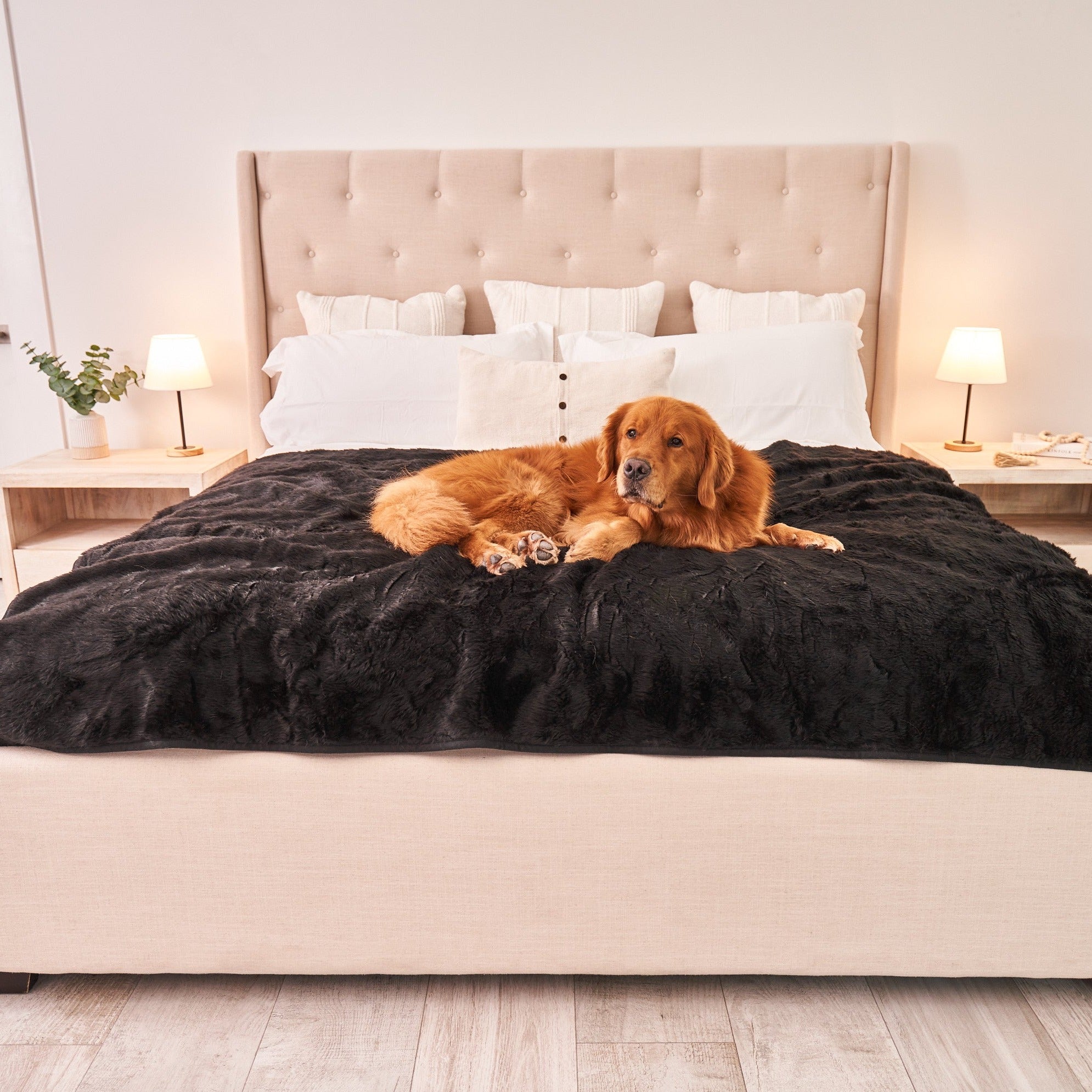 PupProtector™ Summer Short Fur Waterproof Throw Blanket - Midnight Black