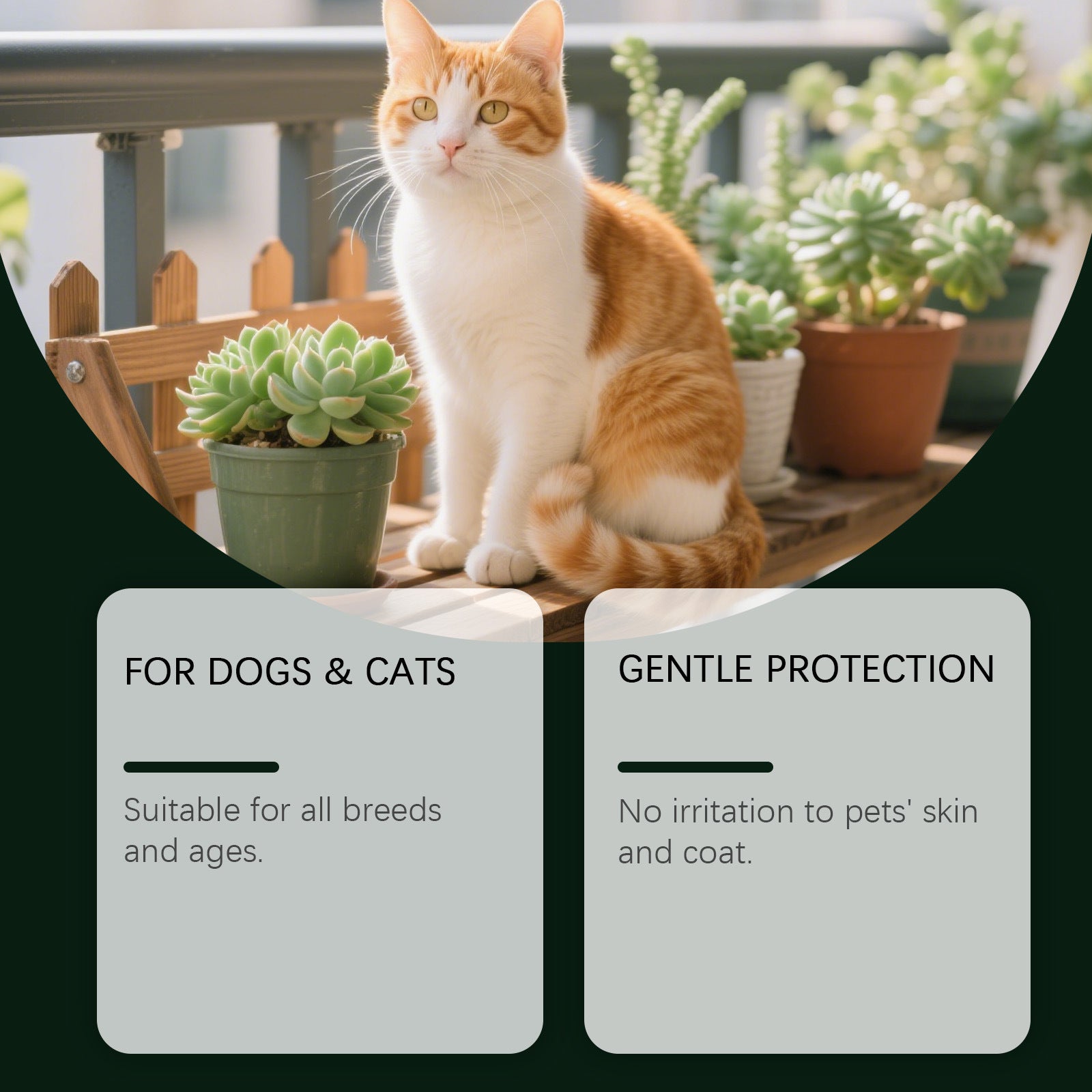 Tick Repellent Household Pet Repellent Cat Dog Skin Hair External Application Spray