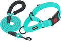 2 Packs Dog Training Collars for Small Medium Large Dogs