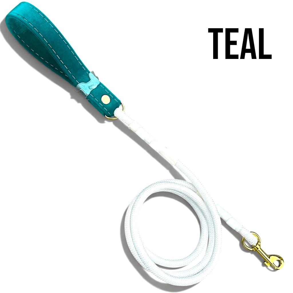 Luxe Collection Leashes