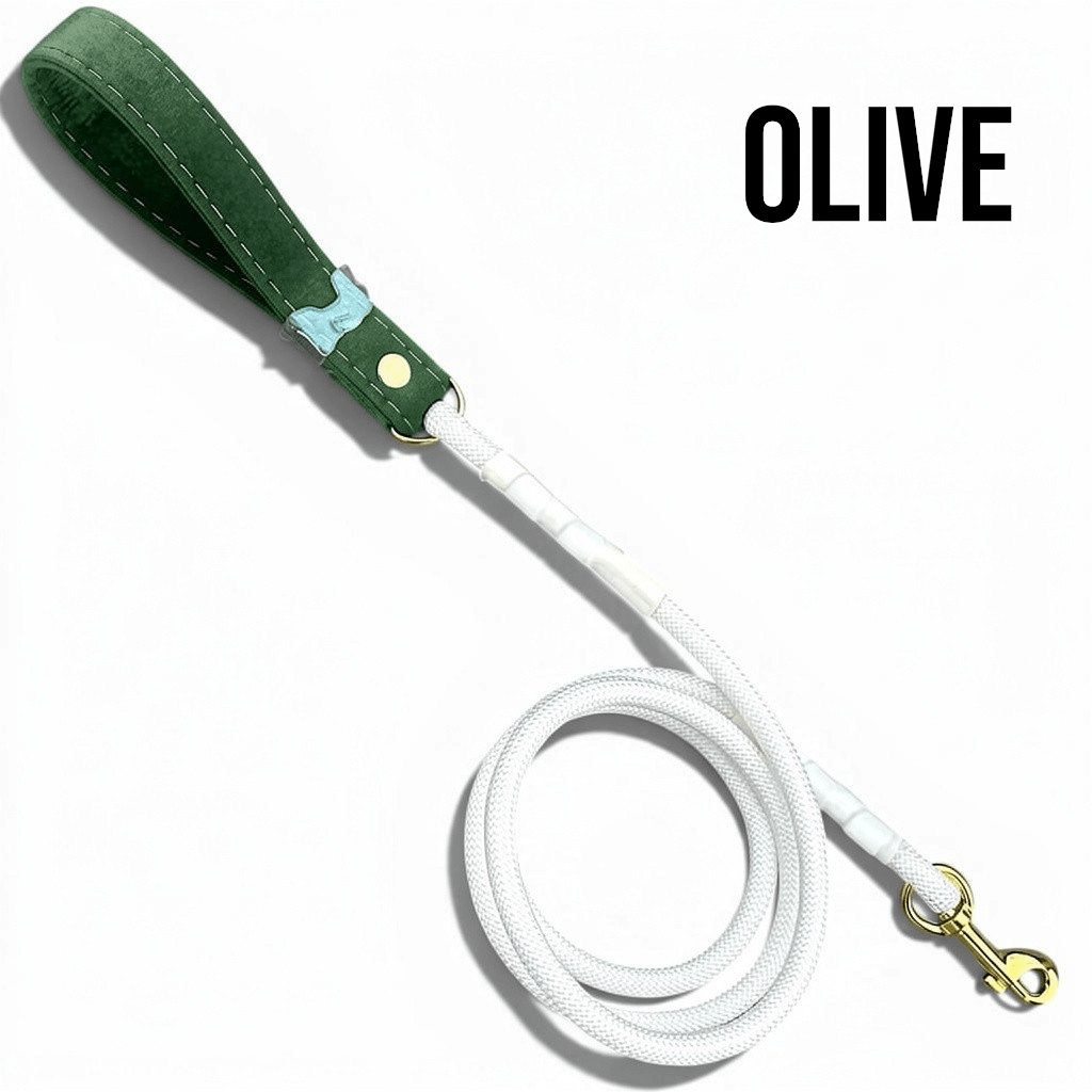 Luxe Collection Leashes